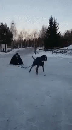 15b8352183c1d56ae9df9f5b5149448c.gif