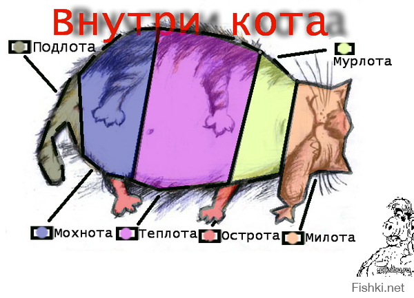 1d5720a34b19e61e861abcbeaf9b3fd2.png