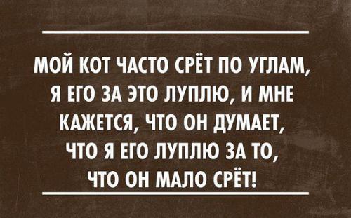 http://fishki.net/upload/users/310726/201312/10/tn/fe1481e2e42215832664b66dae3fc787.jpg