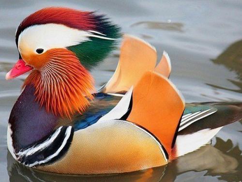 http://fishki.net/upload/users/310726/201312/16/tn/b1c7ed7aa96444523c1884cd0919b36f.jpg