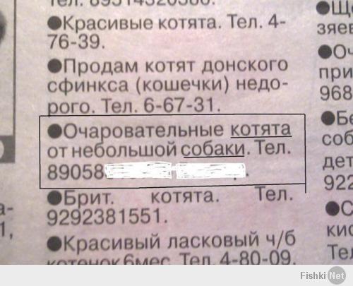 http://fishki.net/upload/users/313204/201401/26/tn/6402f10473046f741c65c8702bc30713.jpg