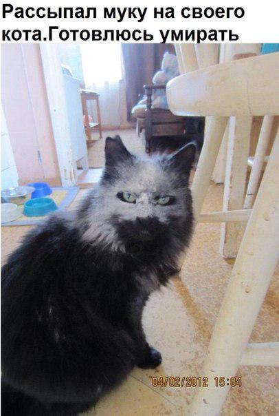 http://fishki.net/upload/users/326540/201311/22/tn/38fc79e7bf4bc43c9c640fc644c4f444.jpg