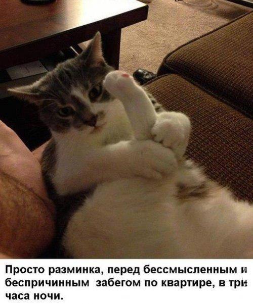 http://fishki.net/upload/users/326540/201311/22/tn/f14a0ca4720134875dab1e5a52b5e9db.jpg