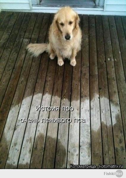 http://fishki.net/upload/users/343503/201401/29/tn/710725dad10b32b501c360f2f44c0b82.jpg