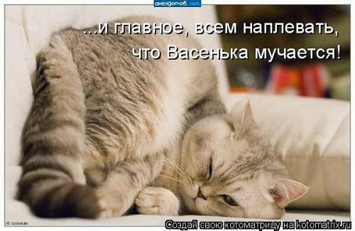 http://fishki.net/upload/users/346615/201311/22/tn/7994c4e24a1c584833e506736959fd88.jpg
