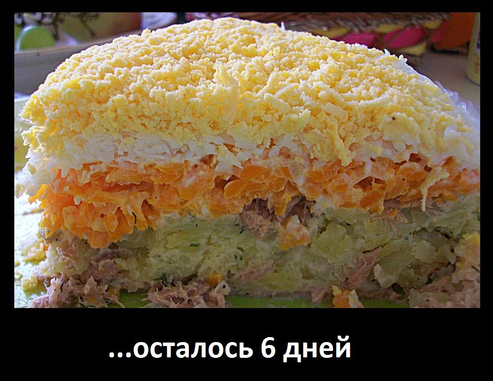 Салаты мимоза рецепты Салаты мимоза рецепты