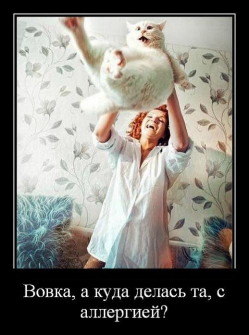 http://fishki.net/upload/users/351533/201312/16/tn/7fe50ccb00525face36acb1b105e3dd0.jpg