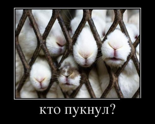 http://fishki.net/upload/users/351622/201312/18/tn/418c0f3b4022bd5246903b5266d2474c.jpg
