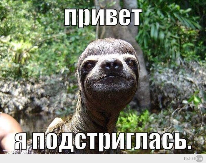 199ca63bf5e6779af269a5d1e6e001d8.jpg