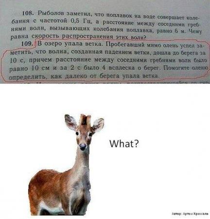http://fishki.net/upload/users/352366/201312/17/tn/c54c8d8c5e5c3c4c7dfc5131d4cfa6a8.jpg