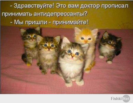 afad6d80accf2ef82ef38ddf6fc5dff3.jpg