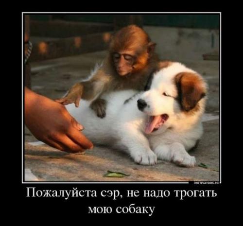 http://fishki.net/upload/users/361542/201312/10/tn/c6113f7babc6877209157b20cccf3af4.jpg
