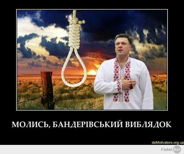 http://fishki.net/upload/users/366674/201404/28/eb255ca8baa558b0c29cce33969b4330.jpg