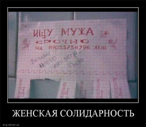 http://fishki.net/upload/users/367335/201312/10/tn/c7911e81ee6a85614fde6f8186d1428f.jpg
