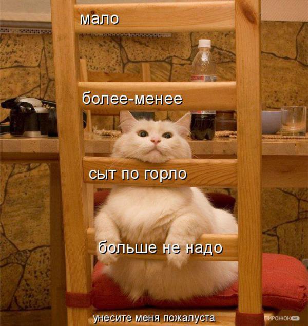 http://fishki.net/upload/users/367335/201312/10/tn/d13e8d43da7d0dbf1f8a5822b9ca447a.jpg