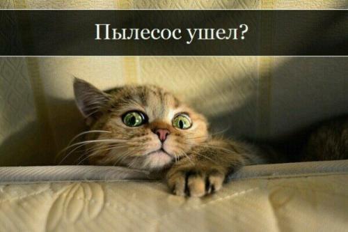 http://fishki.net/upload/users/373429/201312/18/tn/506992b46612337a8ab3348398d6a8ee.jpg