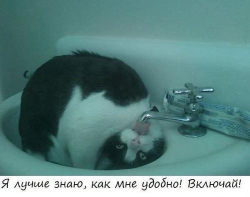 http://fishki.net/upload/users/373429/201312/18/tn/c4658d9c7f0900cdf467b12dc8852a1a.jpg