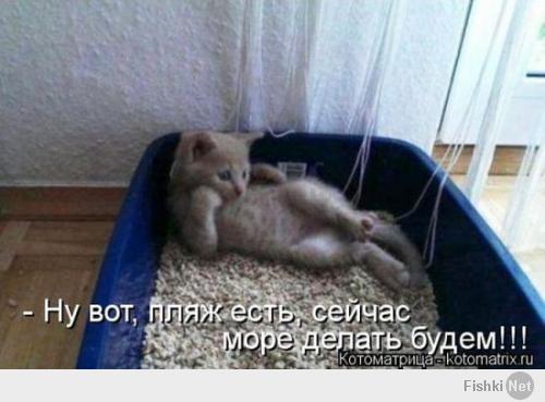 http://fishki.net/upload/users/373429/201401/29/tn/6b124683107ef341a6babf3c71cf582f.jpg