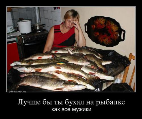 http://fishki.net/upload/users/374300/201312/18/tn/22fdb3480facdbd44c350cca9697f932.jpg