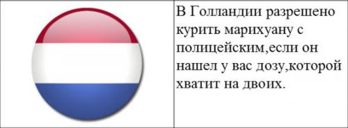 http://fishki.net/upload/users/378703/201311/01/tn/21b089756341619ab8e7b2e347d7cb48.jpg