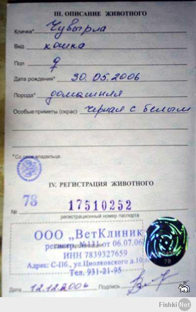 http://fishki.net/upload/users/383851/201402/08/tn/6cf9b73d49669db9ee3a18fe6209a4ab.jpg