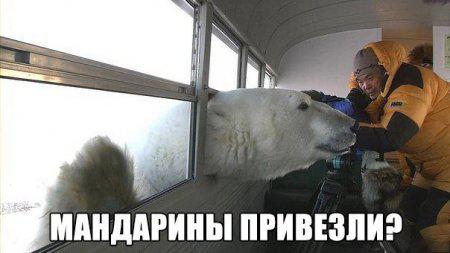 http://fishki.net/upload/users/387906/201312/18/tn/d3609dfdb0601928b93762114865ee80.jpg