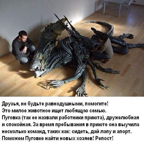 20d43bbe3994c1d6970b91712d36cbc2.jpg
