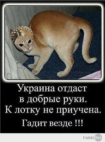 http://fishki.net/upload/users/396230/201404/07/c22ded9efea4da120d99fa3254ae1420.jpg
