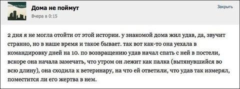 http://fishki.net/upload/users/398300/201312/10/tn/f38e2a7fccfc93df14a8a4a321a26271.jpg
