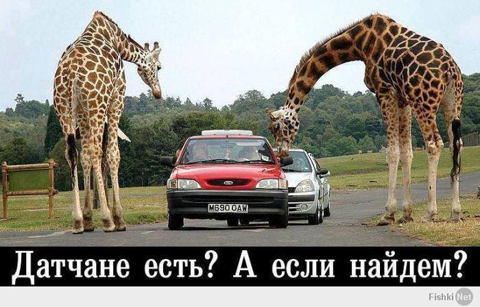 f992e61d2b7f5789fc569ce2e7fd382e.jpg