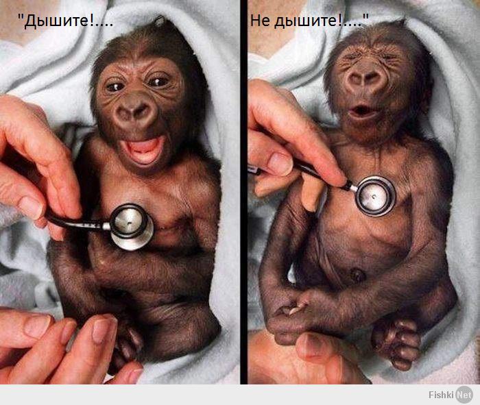 http://fishki.net/upload/users/398385/201401/30/40d8be32382b39860a009bb3e8800e60.jpg