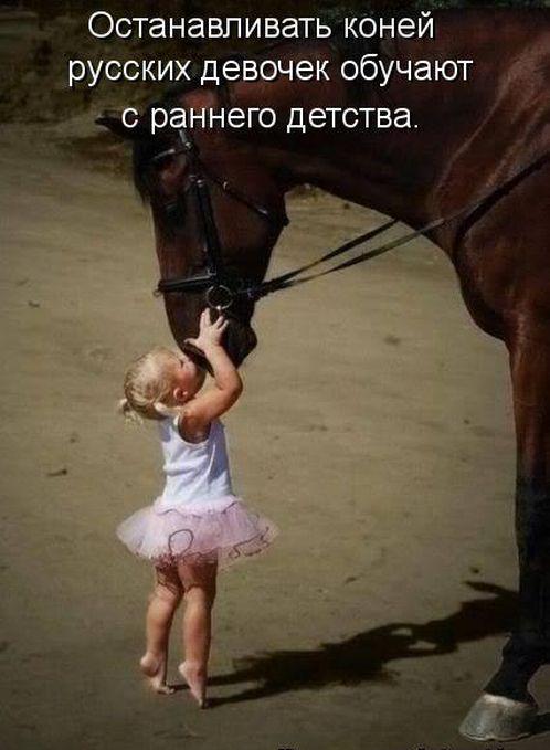 e8b712d0334a479728912875a69b6a4d.jpg