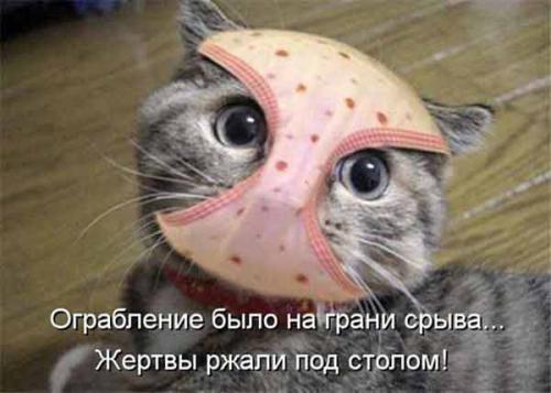 11dc54551d97a758a042208db40653bb.jpg