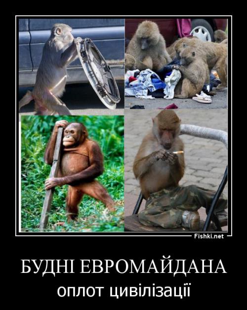 Солянка для Майдана