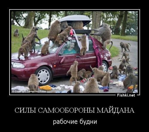 Солянка для Майдана
