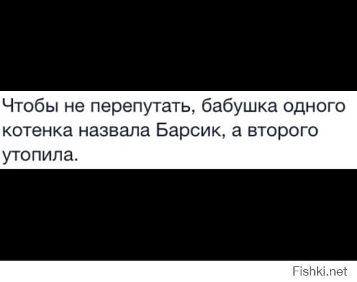 16ea36df6fa2ed11f5e355e1e8ede987.jpg