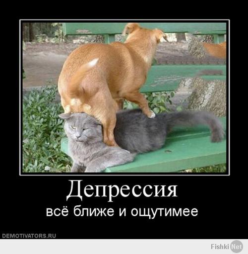 13339c4efeec7d438c68e2d2bf08c89e.jpg