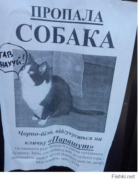 http://fishki.net/upload/users/456381/201408/18/tn/c9a73af9ce05d5ba14539bb2fa5c7c89.jpg