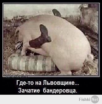 http://fishki.net/upload/users/458756/201407/07/a87867d15db4de7f36be12c793143f86.jpg