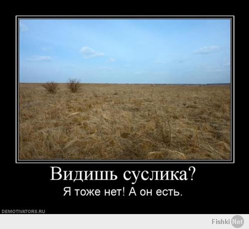 d8e5824df5c7acf5a1dc9add9fbd4f47.jpg