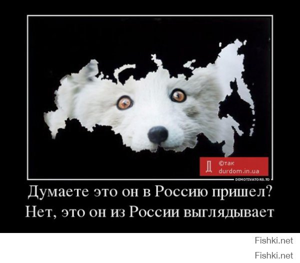 Солянка для Майдана. Часть 68
