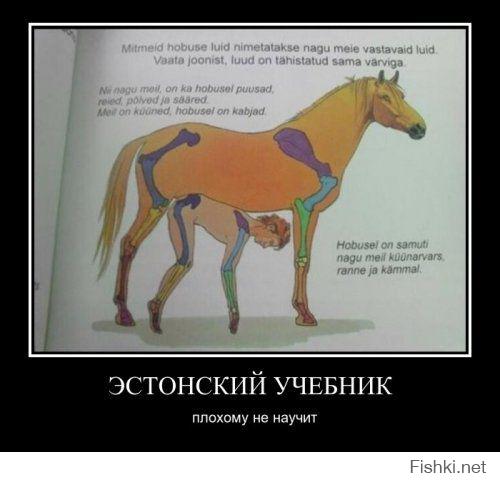 c059fc174178b18db55b952a30291c1f.jpg