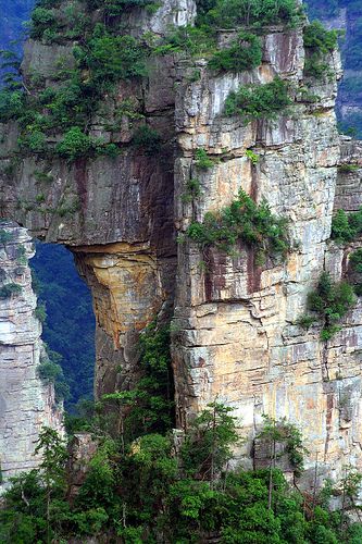 Горы Улинъюань и Национальный парк Чжанцзяцзе Китай (17 фото+видео) 