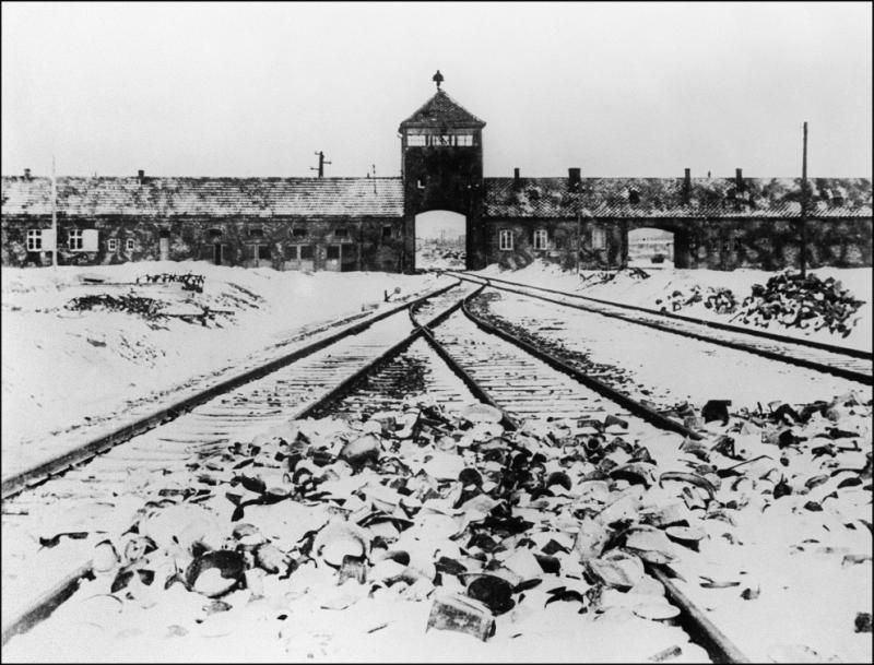 Освенцим. 65(37 фото)