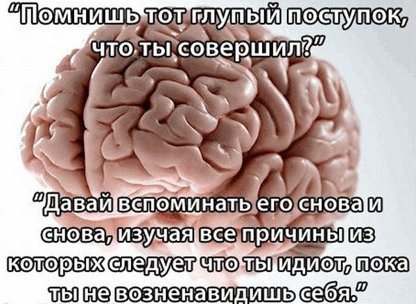 Мозговые мемы (16 фото)