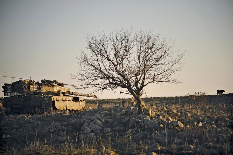 Армия Обороны Израиля (24 фото)
