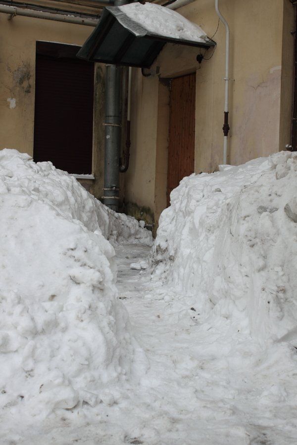 Снег в Питере (5 фото)