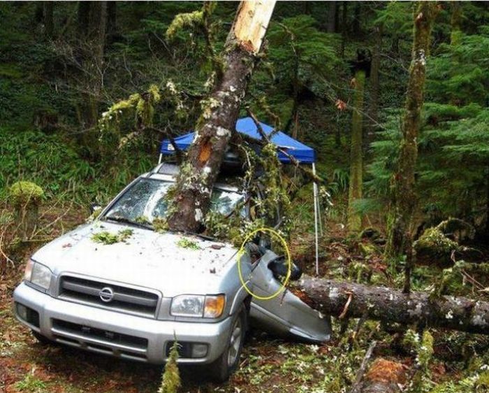 Травмоопасный отдых на автомобиле в лесу (5 фото)