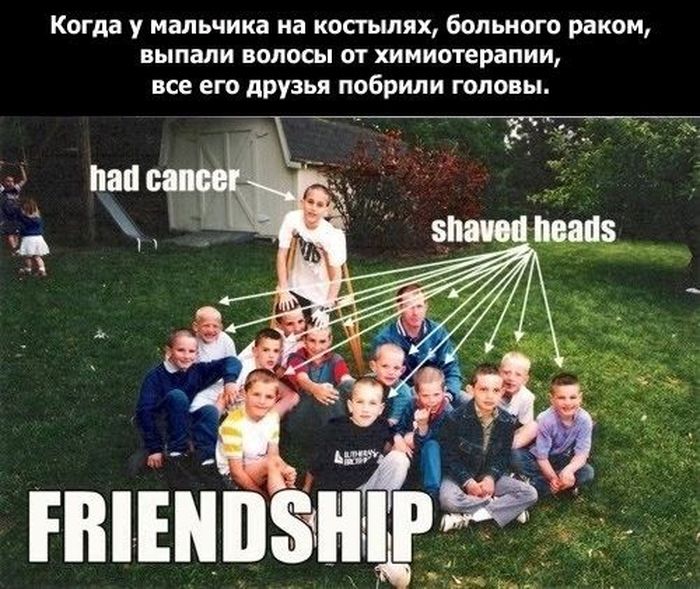Истинный смысл дружбы (19 фото)