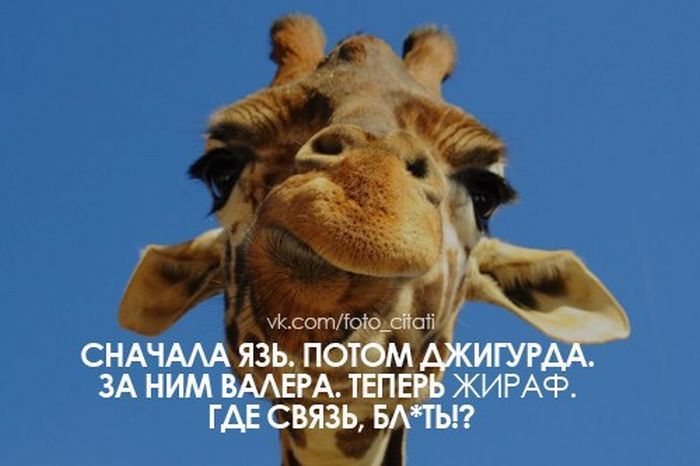 Тупые цитаты из Вконтакте (40 фото)